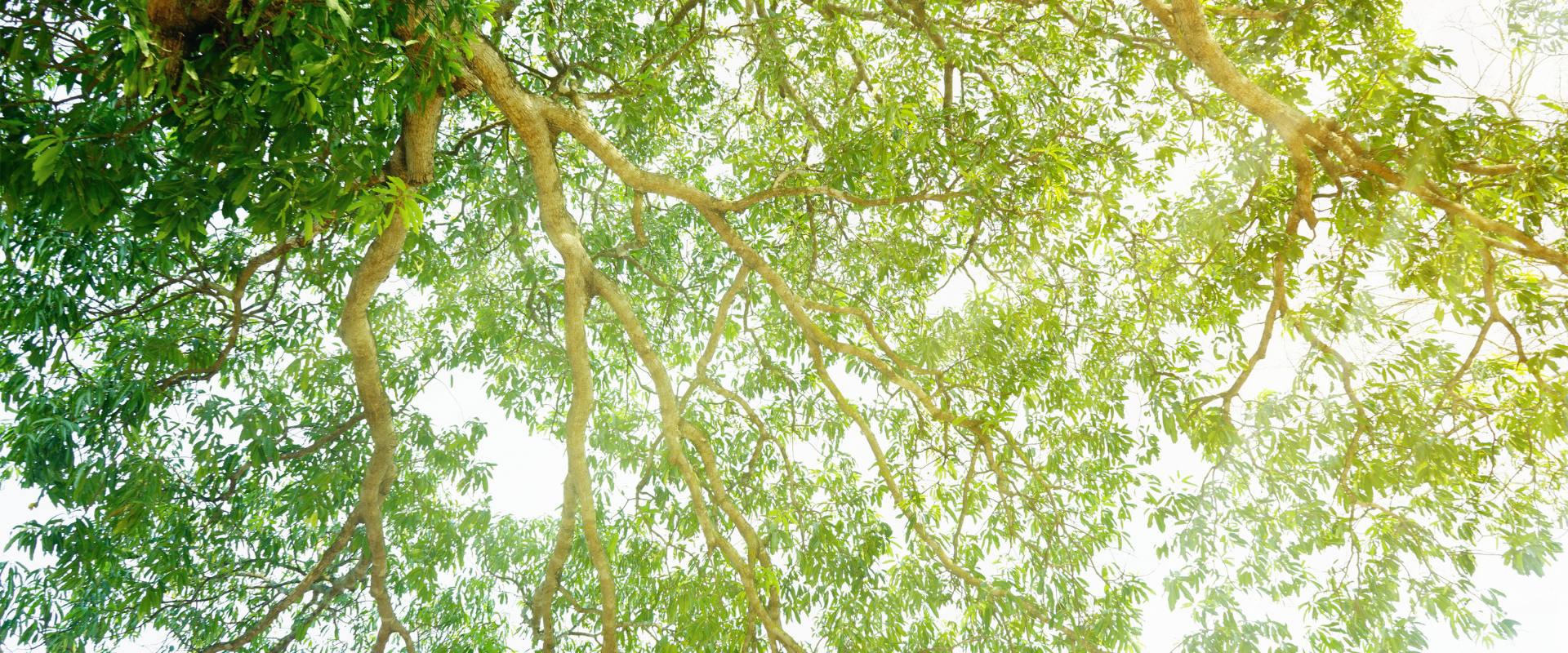 Modern technology workspace